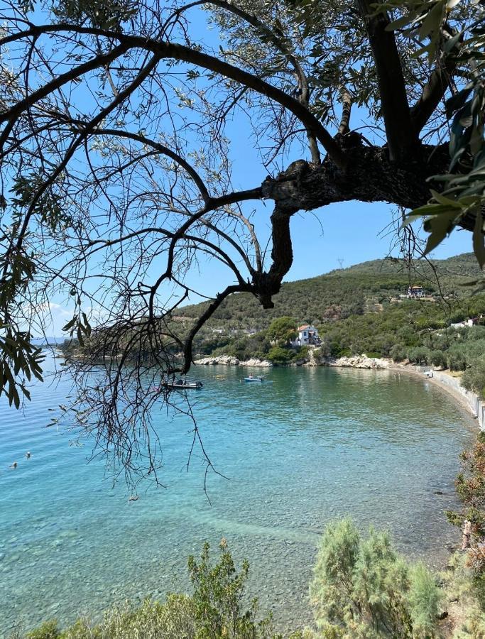 Sunset Of Pelion Villa Kato Gatzea Dış mekan fotoğraf